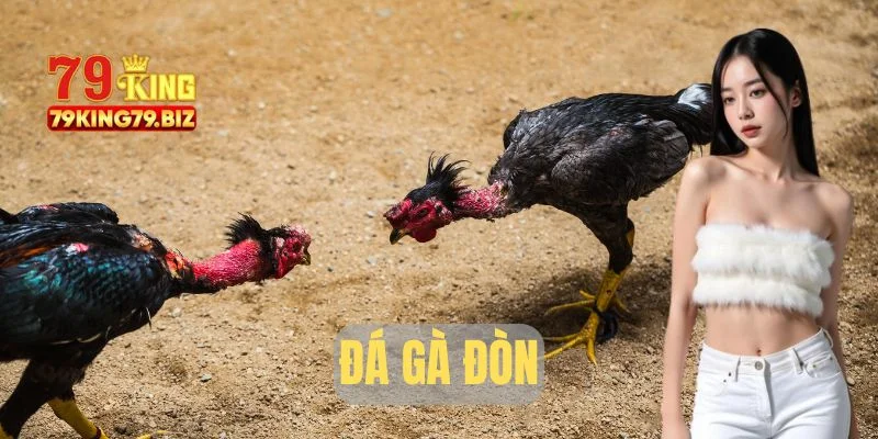 Đá gà đòn tại 79king